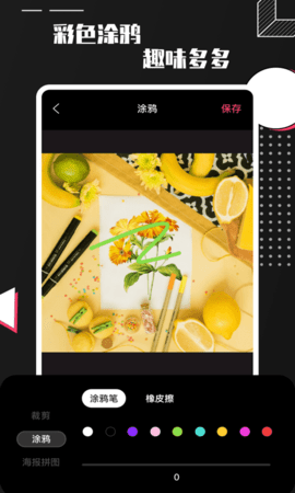 Pro Camera1