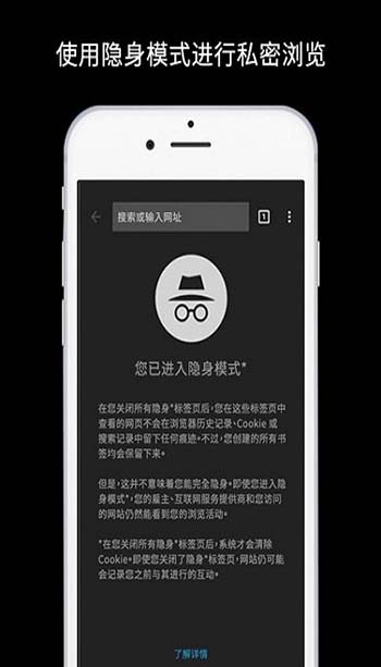 谷歌瀏覽器 網(wǎng)頁版入口0