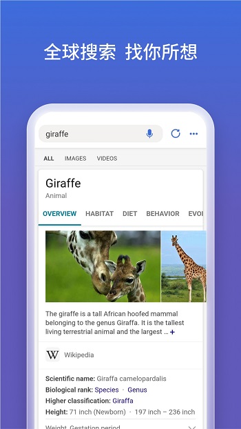 bing2