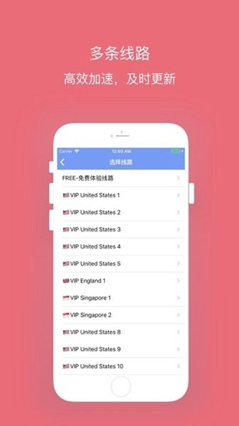 西柚1