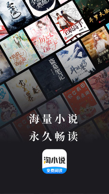 淘小說(shuō)1