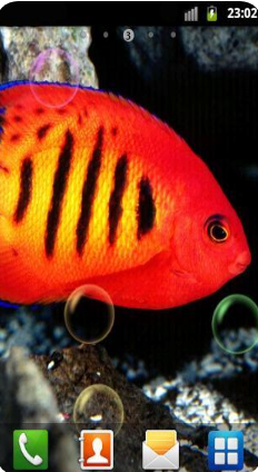 水族館動態壁紙 漢化版v2.0.01