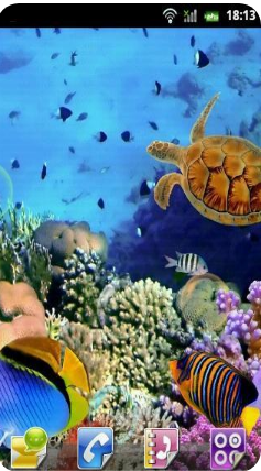 水族館動態壁紙 漢化版v2.0.03