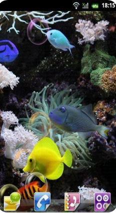 水族館動態壁紙 漢化版v2.0.04