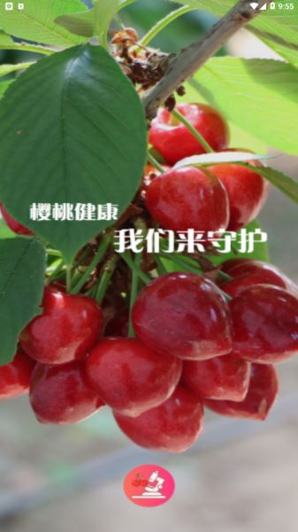 櫻桃醫(yī)生(植物百科) for Android v1.2.6 官方版2