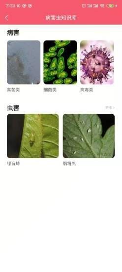 櫻桃醫(yī)生(植物百科) for Android v1.2.6 官方版0