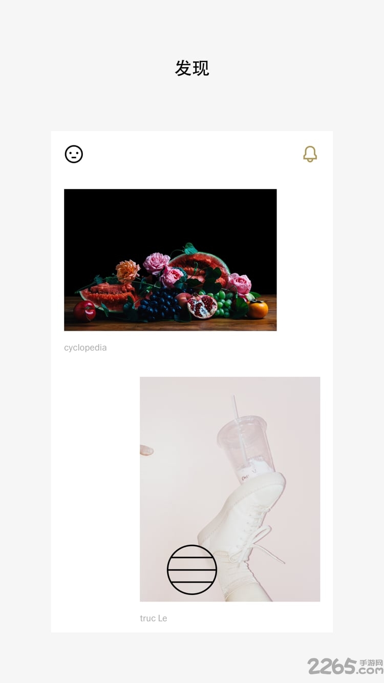 VSCO APP v106安卓版2