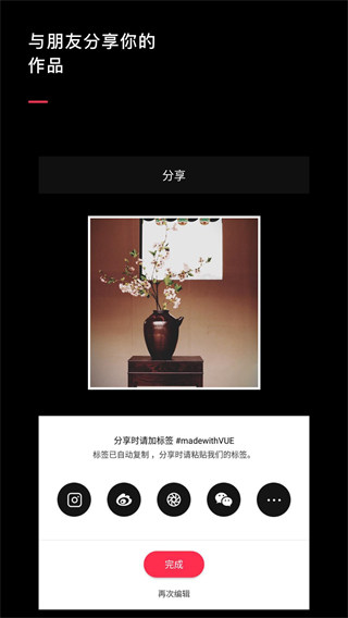 VUE 安卓版v3.3.64