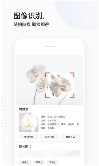 簡單搜索 v3.9.2安卓版3