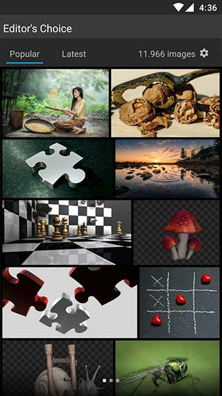 Pixabay素材網APP V1.3.5.0安卓版1