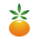 吉林農(nóng)信APP 安卓版V2.7.0