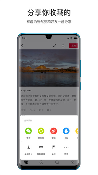 花瓣APP 安卓版V4.6.31