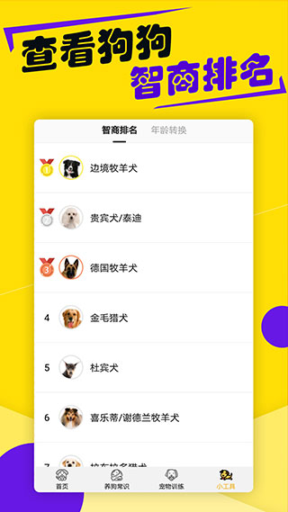 狗語翻譯器APP 安卓破解版V1.4.82