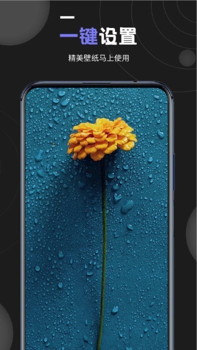 我的壁紙APP 安卓版V1.20