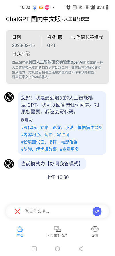 ChatGPT中文版 v1.1.30