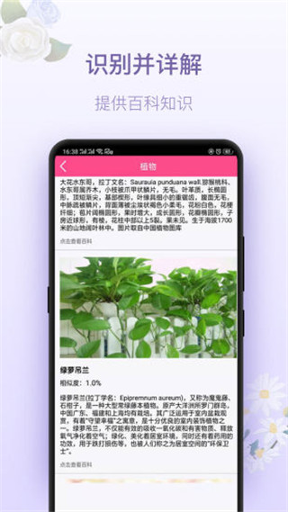 拍照識花神器(識別植物軟件) v5.5.8 安卓版3