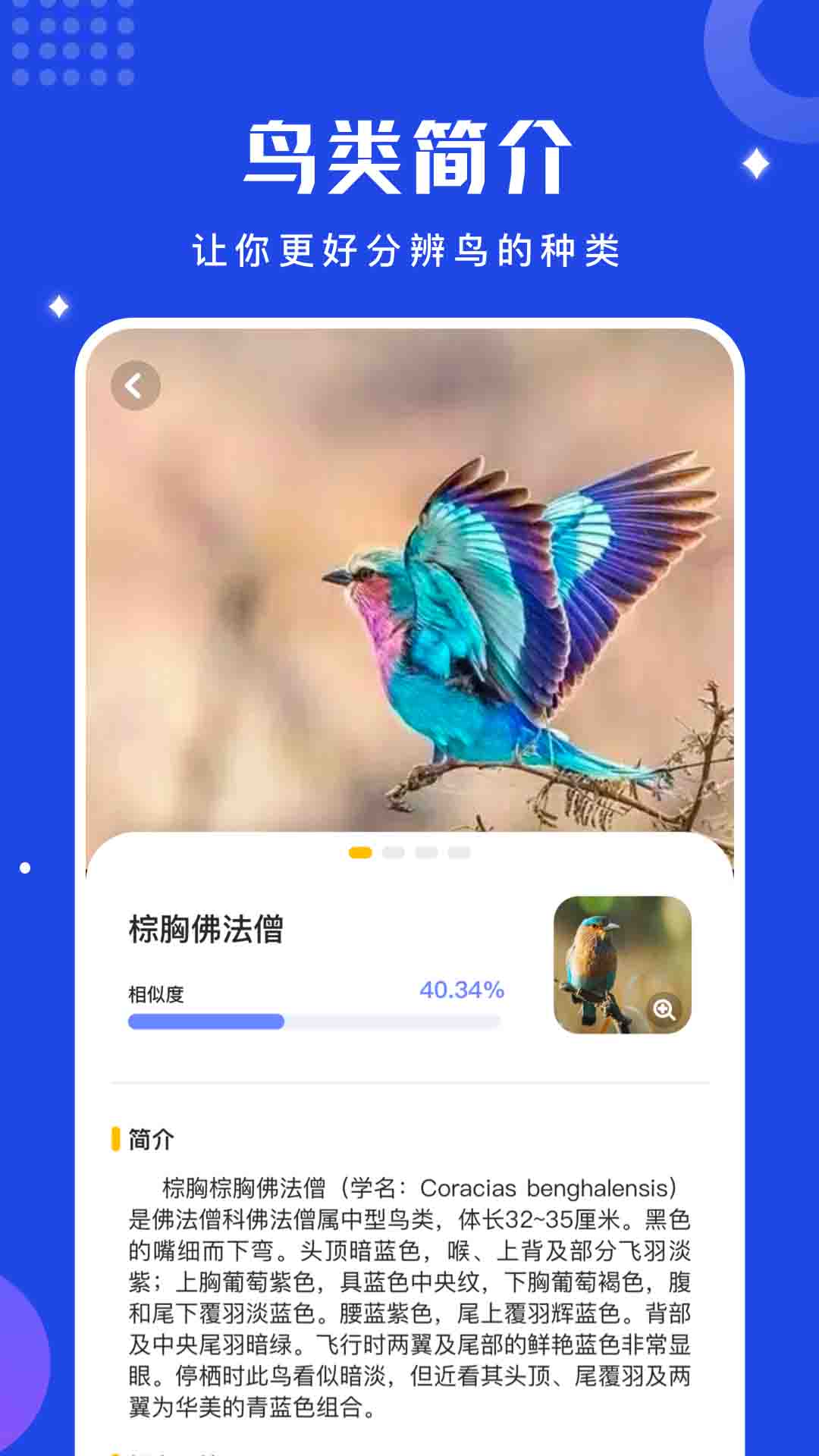鳥語語言翻譯器(語言翻譯) v1.12 安卓手機版1