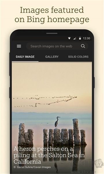 必應(yīng)壁紙app v1.9.20高清版2