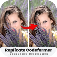 codyformer專業版 v1.9