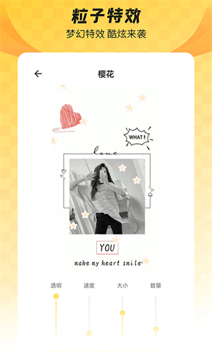 全局透明壁紙app破解版 v1.6.50