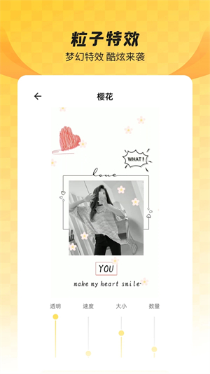 全局透明壁紙app破解版 v8.3.62