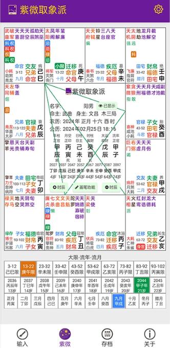 紫微取象派(紫微斗數排盤軟件) v1.0.18 官方安卓版0