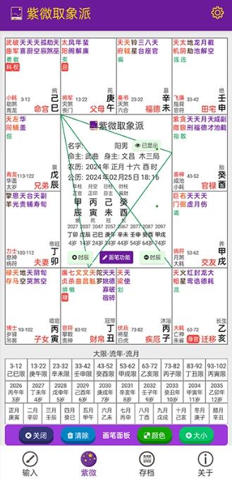 紫微取象派(紫微斗數排盤軟件) v1.0.18 官方安卓版1