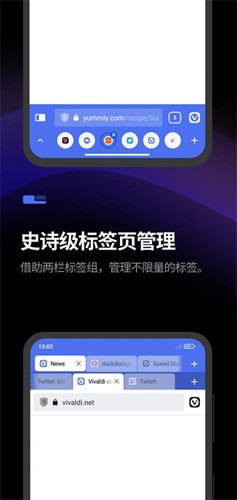 Vivaldi瀏覽器官網(wǎng)版 v7.0.31