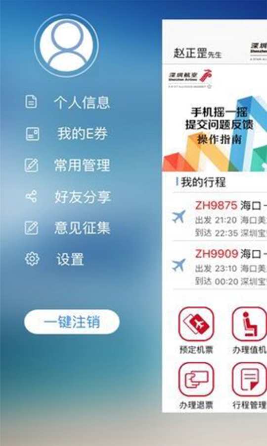 深圳航空1