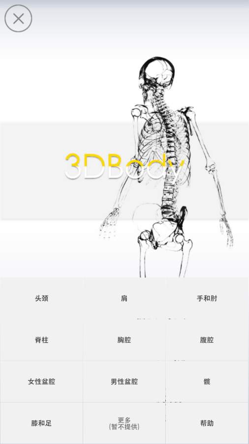 3Dbody解剖0