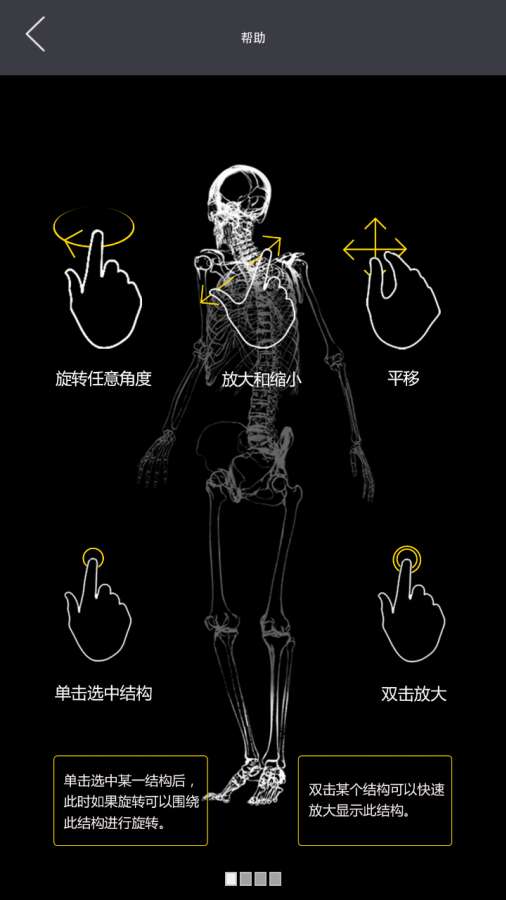 3Dbody解剖1