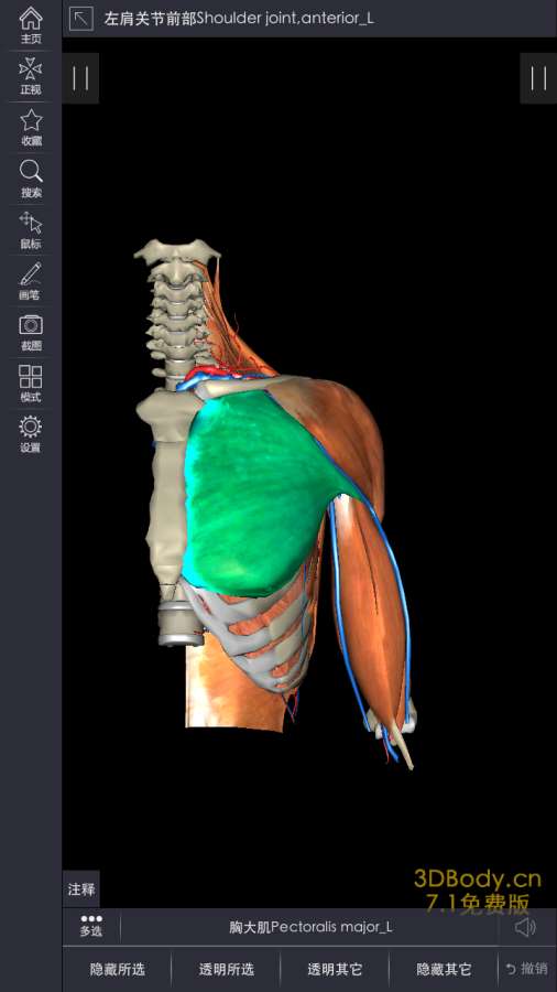 3Dbody解剖3