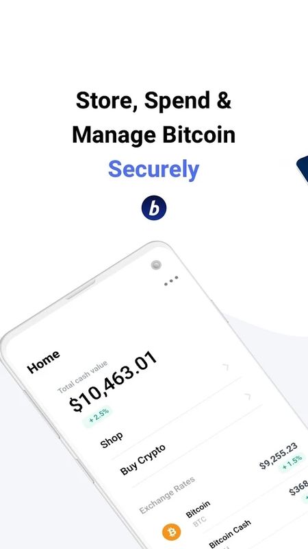 bitpay錢包官方版2