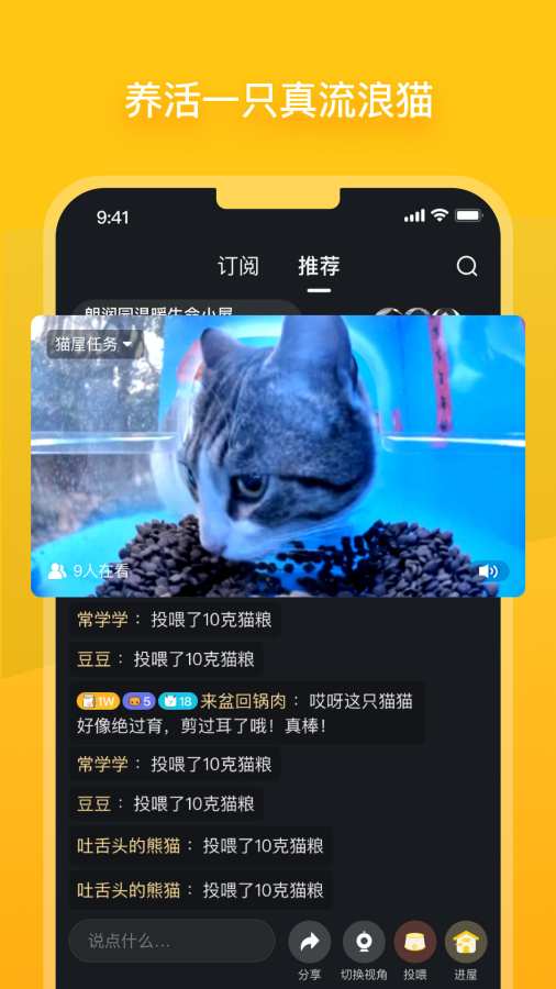 街貓0