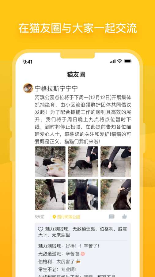 街貓1