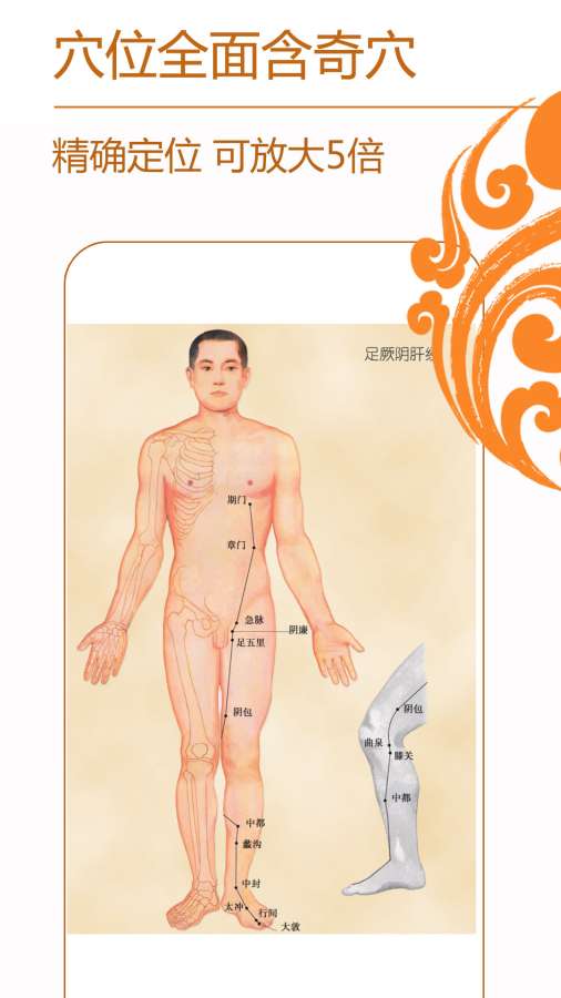 經(jīng)絡(luò)養(yǎng)生1