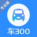 車300專業版