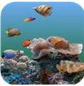 海底世界動態壁紙客戶端 for android v5.8 安卓版