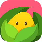 美柚孕期 for android v6.0.5 安卓版