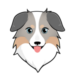 ASS(Australian Safe Shepherd)