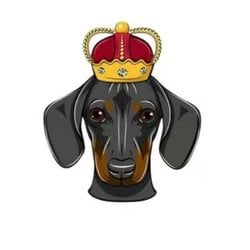 DOGEKING(DogeKing)