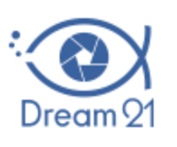 DMC/Dream21