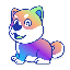 HODO/Holographic Doge