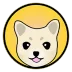 KISHU(Kishu Inu)