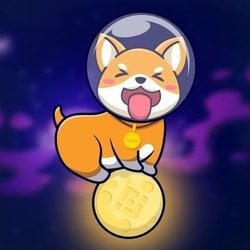 SHIBM(ShibaMoon)