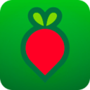 叮咚買菜app