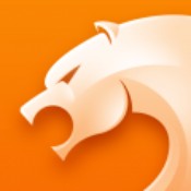 獵豹瀏覽器自動安裝包