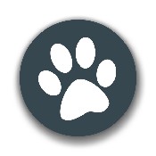獸音譯者手機版