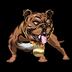 BTG交易平臺|比特犬,Bitdog交易所