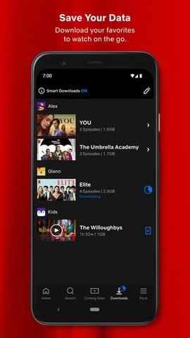 Netflix 國內(nèi)版1